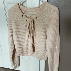 L.A. Hearts Pacsun Sweater